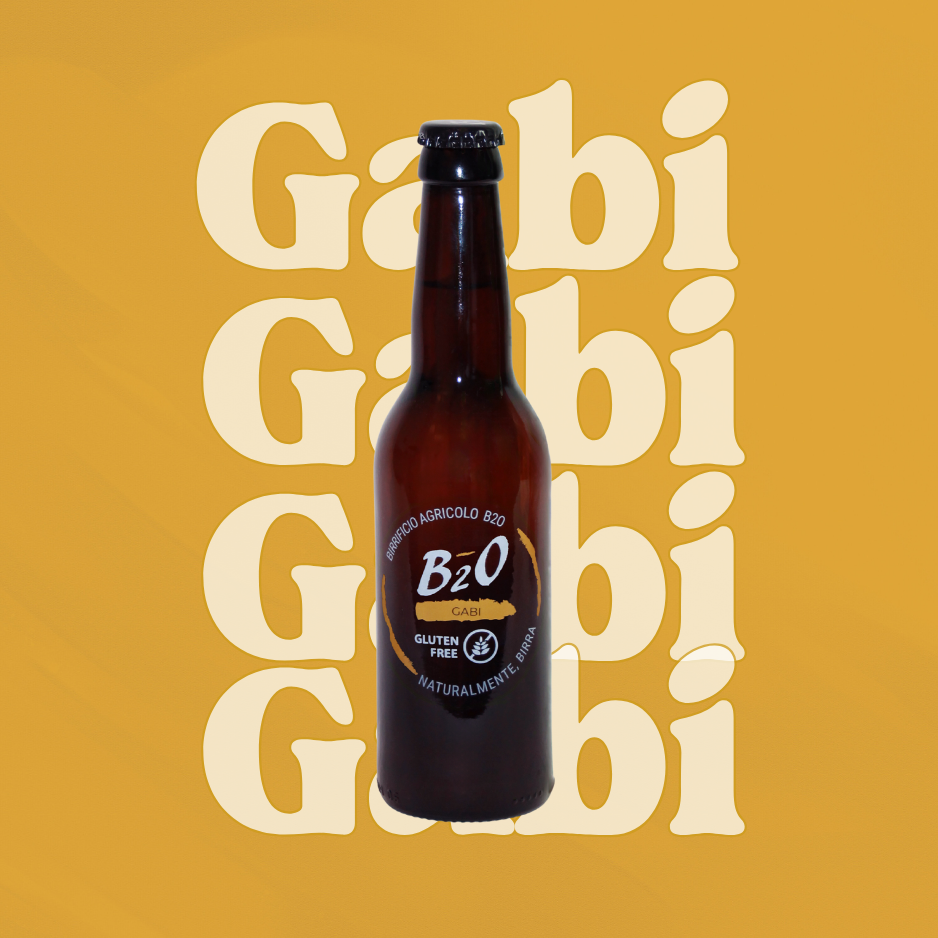 Birra Bionda Gabi (Senza Glutine)